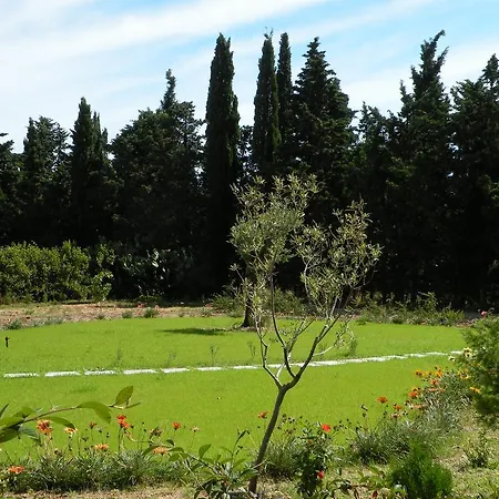 S'arenarju Farm stay